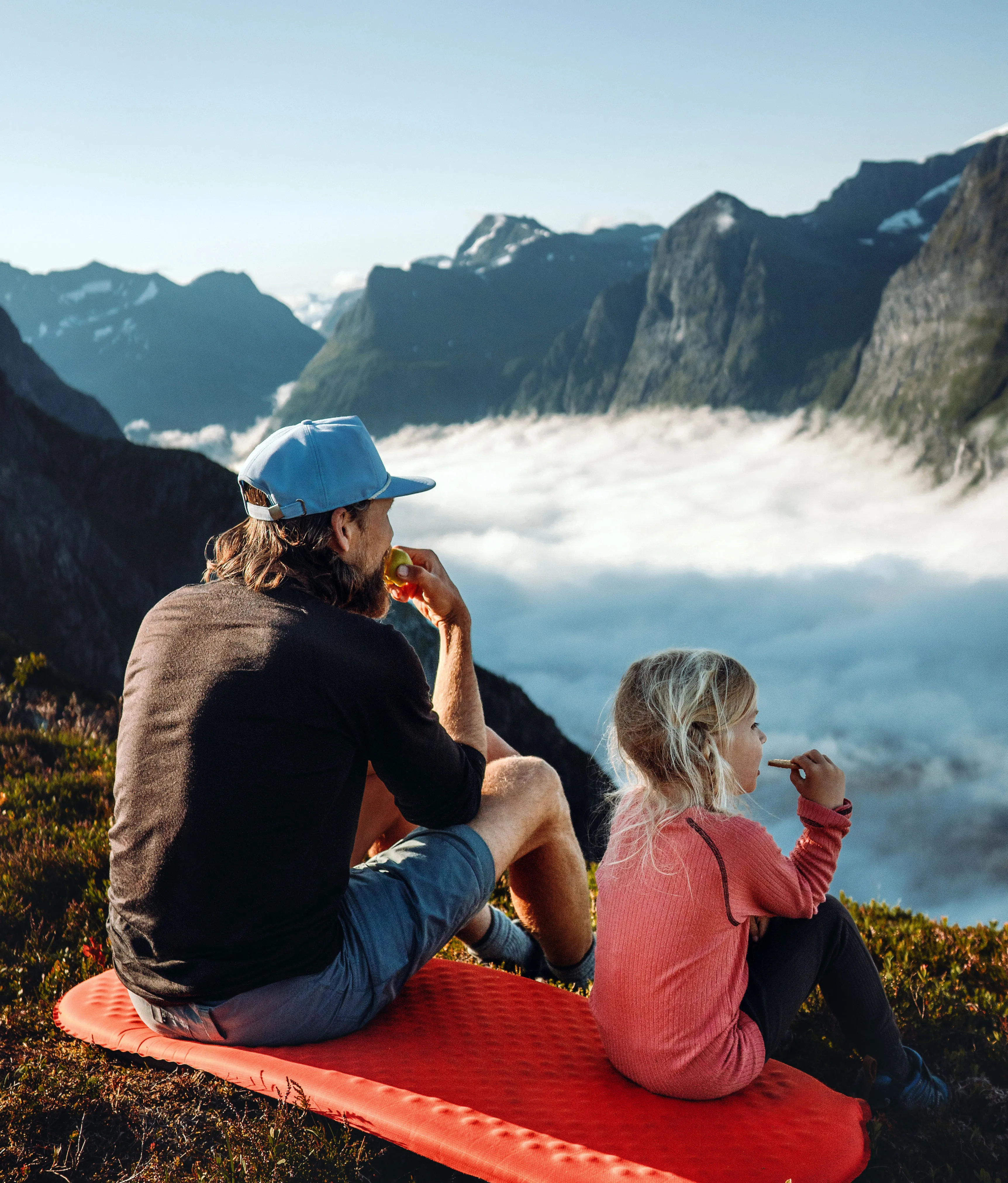 Siebert Financial Freedom For Everyone